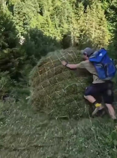 UNE DESCENTE DE FOIN ÉCOLOGIQUE...À proximité du Col du Jaun (Canton de Berne-Suisse).