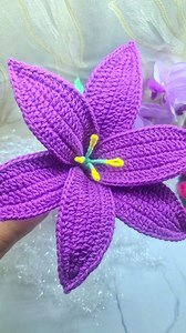 714K views · 11K reactions | Lirio a Crochet Paso Paso Fácil y Rápido | Crochet Melros | Facebook
