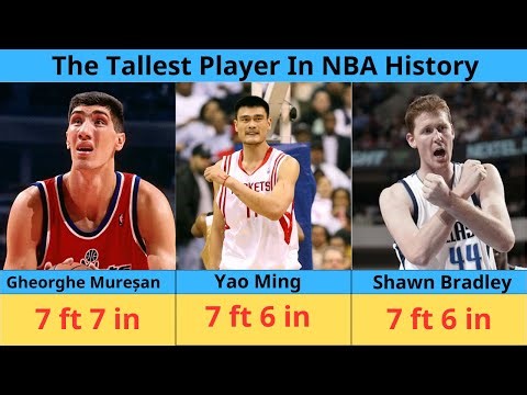 The tallest NBA Player in History | Yao Ming, Gheorghe Mureșan, Chuck Nevitt, Mark Eaton