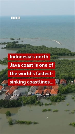 8.8K views · 131 reactions | In a waterlogged village on the north coast of Java, Indonesia, Ningsih relies on a homemade raft to take her children to school.  Why are some cities disappearing underwater? https://bbc.in/43W8wa4 | BBC World Service | Facebook