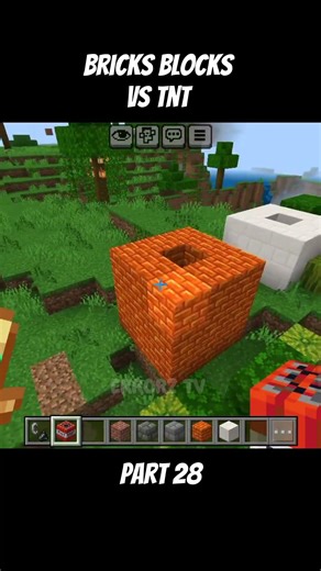Bricks Blocks vs TNT pt28 #minecraft #shorts