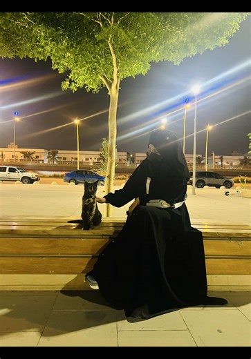 Train Your Cat: Tips for Engaging Pet Training