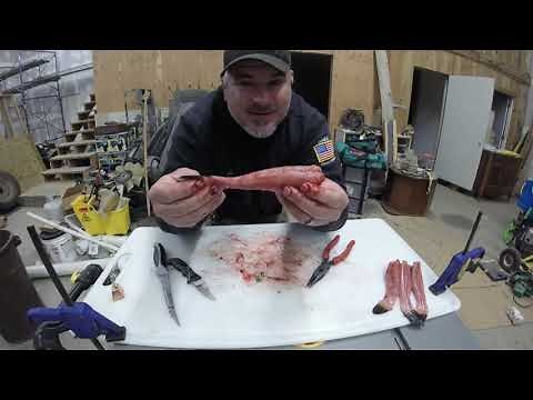 The Fastest Way In The World To Clean Bullheads and Small Catfish Whole Clean A Fish in 15 Seconds