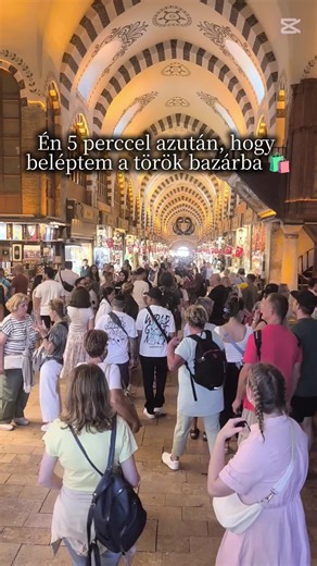 Cats of Istanbul: A Glimpse of Feline Friends at the Grand Bazaar