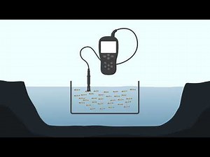 Farm Management - Pond Stocking