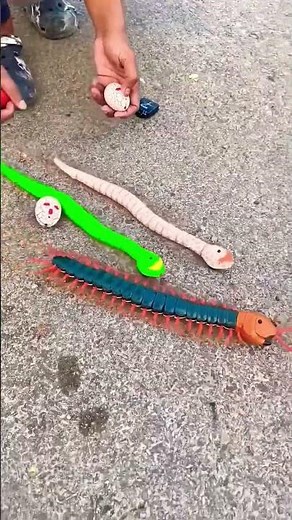 Remote control snake and centipede scolopendar #rc #unboxing #shorts