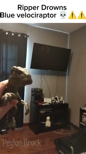 Blue velociraptor's hospital bill is $200 000 #tal_on #jurassicworld #ripper #blueraptor