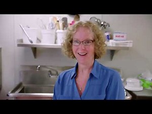 Super Size Me 2 - Holy Chicken! 2019 | Movie Center