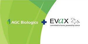 AGC Biologics and Evax Partner for Vaccine Candidate