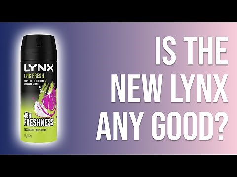 Lynx Epic Fresh (Axe Epic Fresh) Men's Body Spray First Impressions