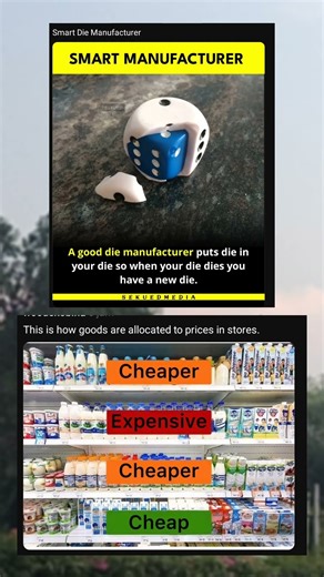 Grocery Store Logic Explained 😂🛒