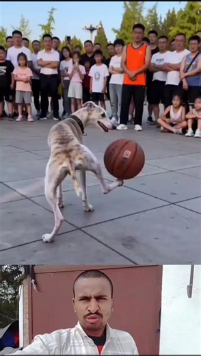 #Timelapse, start to finish alone build log cabin (wooden house), how to build wooden cabin, surviva