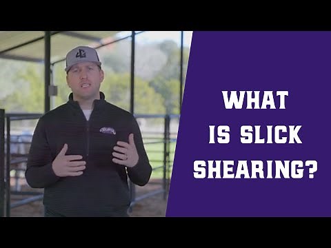 What is Slick Shearing?