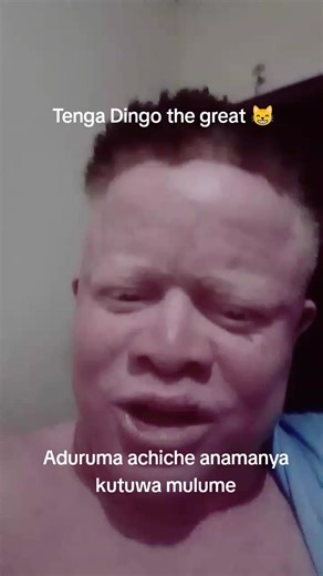 Tenga Dingo (@tenga.dingo)’s videos with Originalton - funnyvideos