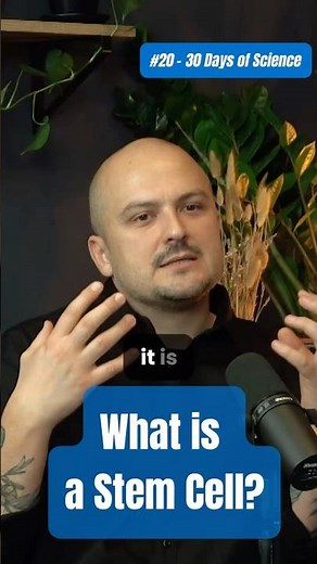 Tracking Brain Development with In Utero Electroporation