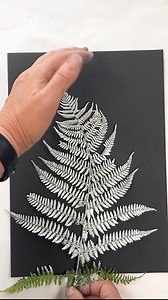 There is a fern print to download with this months newsletter as I focus on them for September. I am fairly sure this is Bracken... but I printed it a few weeks ago and didnt make a note! 🤦‍♀️please do correct me if I am wrong. Bracken could be seen to symbolise endurance and resilience, in floriography, the Victorian language of flowers, it was a symbol of independence and a desire to break free from constraints. It is a widespread and well-known plant it is found in a variety of habitats in t