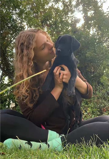 ¡11 Semanas de la Diversión con Labrador!