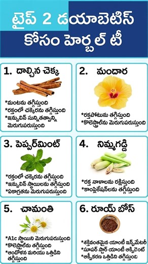 Best Herbal Teas for Type 2 Diabetes Control 🍵 Telugu Health Tips #teluguhealthtips