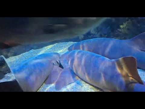 2812becb 2867 4100 935d 10d6e95cd586