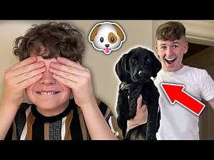 NEW PUPPY SURPRISE ON LITTLE BROTHER!!