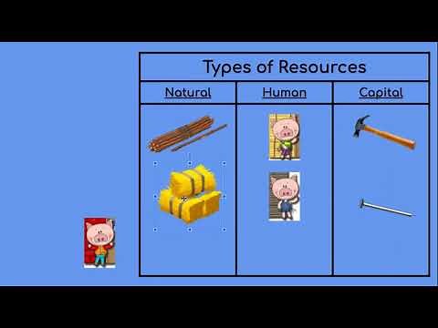 3 Types of Resources: Natural, Human, and Capital
