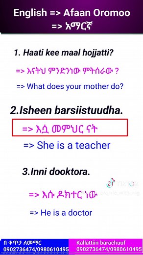 #barumsaafaanoromoo #englishafaanoromo #english_በ_ኣማረኛ #english_language_course_for_beginners #ኦሮምኛቋንቋትምህርት #oromolanguage