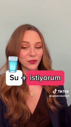 Learn Turkish Basics for Beginners: A Fun Guide