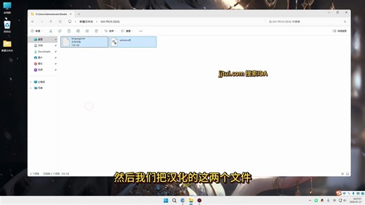 IDA汉化破解使用教程