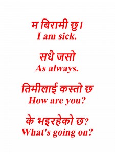 How to learn English speaking from beginning अंग्रेजी कसरी सिक्ने? Spoken English class in Nepali #dailyenglishspeaking #englishlanguage #english #englishlearning #englishhome #englishtips #grammar #englishcourse | Education Crush