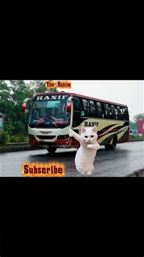 hanif bus and cat bangladesh #bus #viral #automobile #sorts #bussid #cat #catvideo