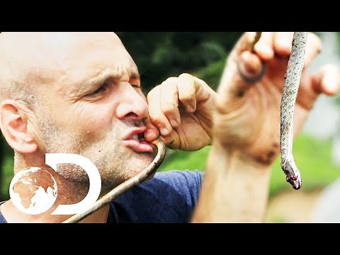 Ed Eats A Raw Snake To Survive In The Himalayan Wilderness | Ed Stafford: First Man Out