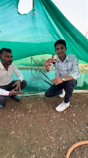 Prince Patidar on Instagram: "मोती की खेती💎🧑‍🌾😻 @princeagro.in 🍃 @theprincepatidar #Reels #agriculture #mandi #india #wheat #soya #garlic #onion #tractor #india #farming #explore"