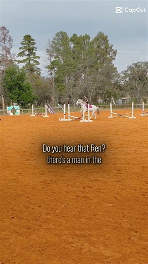 Man in the woods #ren #horse ##horseriding #equestrian #blowup #foryou #fyp #equestriansport #edit