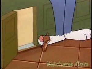 Tom and Jerry Dance Chechen