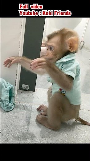 Super smart little monkey goes to the toilet on its own #cutemonkey #monkey #babymonkey