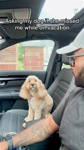 Mini Cockapoo Tells Her Dad She Misses Him 🥹