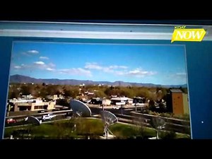 Spring-tastic Saturday!