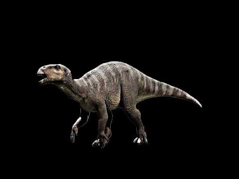 Iguanodon Sound Effects