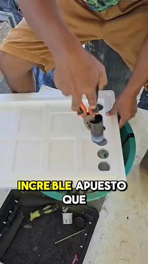 Aprende a cultivar tus alimentos 🍅🥬 en tu propia huerta hidropónica en casa #huertaorgánica #hidroponialatinoamerica #hidroponia #huertourbano #huertoshidroponicos #Hidroponía | Mundo Hidropónico