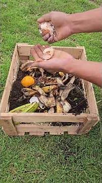 Turn your kitchen scraps into powerful compost with this easy DIY mini composter