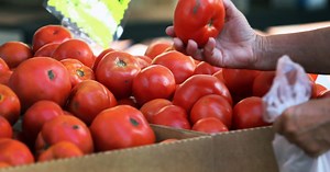 Sunday Soup: Jamie Dimon, A Warning for Tesla,  Birthday Freeloaders, Tomato Week