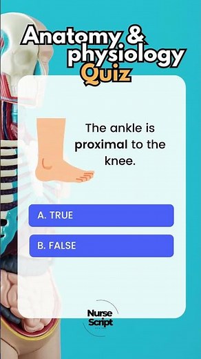 Directional Terms Quiz for Anatomy and Physiology | How Well Do You Know?