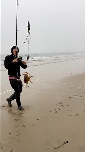 Crab Snaring How to Catch a Dungeness Crab #crabbing #crab #fishing #hunting #outdoors #beach