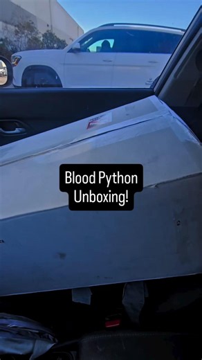 New Blood Python UNBOXING!!