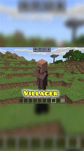 "Why Do Villagers Sleep in the Nether? 🤯 Minecraft Secret!"