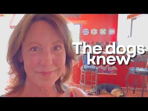A Spring Update From Mexico: The Finca, Semana Santa, and What the Dogs Taught Me