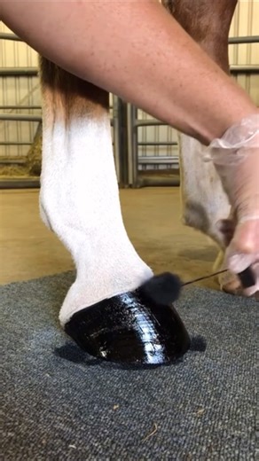 Curious how to create the perfect white socks? Check out my How To Section on the website. It’s full of free tutorials, including this one! 🩵 | Nags To Riches