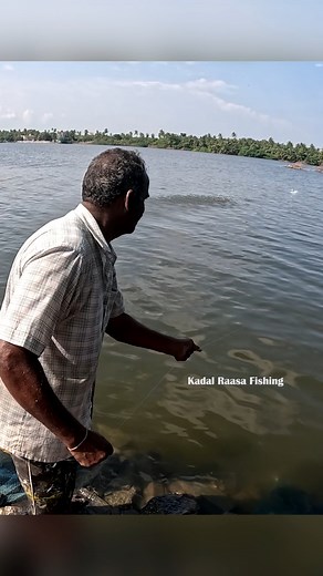 Traditional River Fishing with Bottle Trap | Mullet Fish Caught Using Maida #MulletFish #BottleTrapFishing #RiverFishing #TraditionalFishing #fblifestyle | Kadal Raasa Fishing