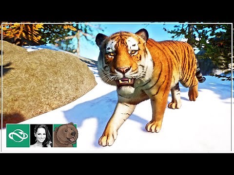 🐻 Siberian Tiger Habitat | Let's play Planet Zoo Franchise Mode | Ep. 6 |