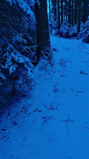 🌕 Night View •.* music & cinema for quiet nights alone ⋆₊˚ by lunaneveralone • #nightmusic #ambient